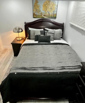Brand new single unit guest basement apartment